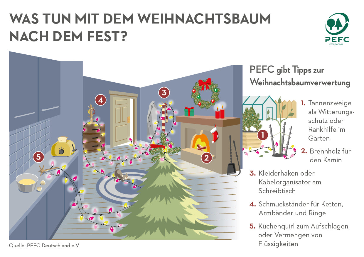 WAS TUN MIT DEM WEIHNACHTSBAUM NACH DEM FEST? - Kiefer Massivholz